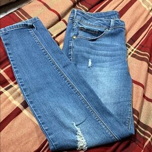 1822 Denim Blue Skinny Jeans with Distressed Details (530)